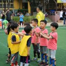 서안유치원 이미지