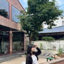 Lisof(리소프) 이미지