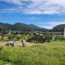 경기둘레길 파주7코스 이미지