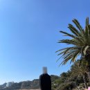 뉴제주여행 - 제주시 서사로20길 19 | 뉴제주여행