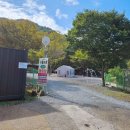 구름아래 캠핑장 | 경북 강아지동반 캠핑 청도 구름아래캠핑장 가을캠