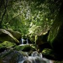 무릉도원면-31 이미지