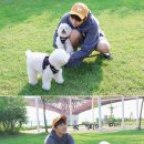 산들 강아지 이미지