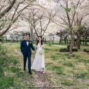 충신사 네이버블로그