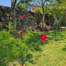 한담 낭뜰 이미지