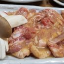 메밀꽃돼지 이미지