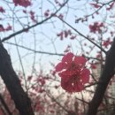 이진아기념도서관 이미지