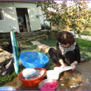 신영주농장 이미지