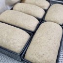 새희연지 이미지