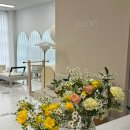 에클레시아 필라테스 이미지