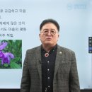 대림평생교육원