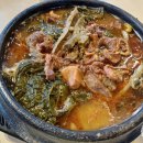 동부콩나물해장국 | 부산 재송동 국밥 맛집 명품문산선지국 사골뼈 선지 내장탕 뼈다귀 해장국