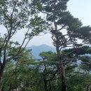 (하남검단산역)~검단산~고추봉~용마산~희망봉~장작산~(광지원) 13.3km 이미지