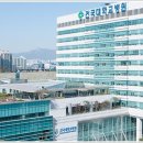 판교성모내과 | 전국 대학병원 순위 TOP 10 선택 기준부터 실용 팁까지