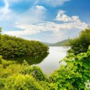 운곡생태습지길 3코스 이미지