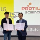 티움 이미지