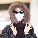 비주얼 레이