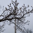 아우내약국 이미지