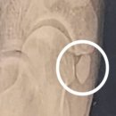 화이팅정형외과의원 이미지