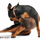 블레스병원 이미지