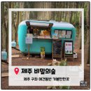 너른초원 | [제주애견동반여행] 제주 애견동반 가볼만한 곳,' 비밀의 숲' 내돈내산 솔직후기. 제주 스냅사진 명소.