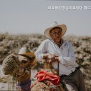 의료법인 청송의료재단 이미지