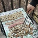 힐링캠프글램핑 이미지