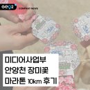 미디어하프 | [공지] 2026 안양천 장미꽃 축제 마라톤 10km 후기, 미디어사업부 일상(feat. 신정교하부영롱이억새구장)