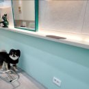 양지-2864 | 옥길동 미용실 웨이브 셋팅펌 만족후기