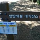 제주 평대리 비자나무 숲 | 피톤치드가 쏟아지는 제주 평대리 천년의 숲 &#39;비자림&#39;