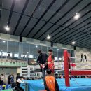 순천 엘리트복싱 이미지