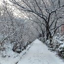 병원 다녀오며 이미지