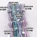 041825 세탁기 속 곰