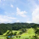 마스타골프 이미지