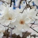 동암재활원 네이버블로그