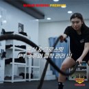 슈가복싱 프리미엄 이미지