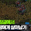정글스타