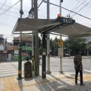 대봉교 교통섬 이미지