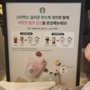 아주푸드 | 스타벅스 실리콘 푸드백 실물 수령 후기(핑크/그린)