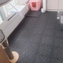 (주)아이앤팜 | 성야옹집사의 #주간일기 챌린지 7월 2주차