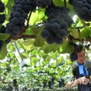 거창-북상-4 이미지