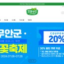 무안-8 이미지