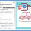 주정차단속-4 이미지