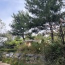 낙은로50번길 이미지