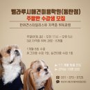 벨라루시애견미용학원