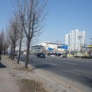 국민체육센터 앞 횡단보도 이미지