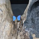 (주)모션디바이스 | 《2026 서울리빙디자인페어》 다녀온 후기 - 510개 브랜드가 제시하는 라이프스타일 해법