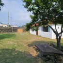 요호르기스테이 이미지