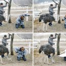 이목목장 이미지