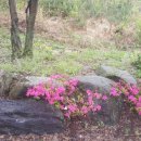 별빛산장 이미지